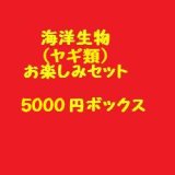 ☆☆☆送料無料・・ヤギ類のお楽しみセット（5000）