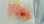 画像2: 《近海産海水魚》【南伊勢産】スミツキハナダイ（餌付け済）…熊野灘水深約60Mハンドコート (2)