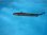 画像1: 《外洋性深海魚》冷凍ダルマザメ（40センチ前後）…画像の個体です (1)