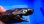 画像2: 《外洋性深海魚》冷凍ワニグチツノザメ（35センチ±）画像の個体です・・・【ウルトラレア】 (2)