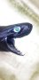 画像1: 《外洋性深海魚》【ウルトラレア】冷凍ワニグチツノザメ（40センチ±）・・・画像の個体です (1)