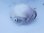 画像3: 《外洋性甲殻類》【冷凍】アオイガイ（宿殻10センチ±）…標本用 (3)