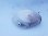 画像5: 《外洋性甲殻類》【冷凍】アオイガイ（宿殻10センチ±）…標本用 (5)
