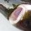 画像8: 《外洋性深海魚》【ウルトラレア】ツラナガコビトザメ属の1種(画像の個体です）20センチ±…冷凍個体