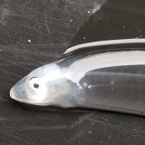 《近海産海水魚冷凍個体》レプトケファルス(冷凍個体)‥16センチ±