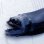 画像3: 《近海産深海魚》ワニトカゲギス目の1種…冷凍個体