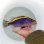 画像4: 《近海産海水魚》【激レア】☆★☆ルリハタ☆★☆…ハンドコート採取