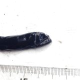 《深海産海水魚》冷凍クロトカゲギスの1種（約8センチ）‥画像の個体です