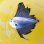 画像2: 《外洋性深海魚》【冷凍】☆★☆リュウグウノヒメ（7センチ±） (2)