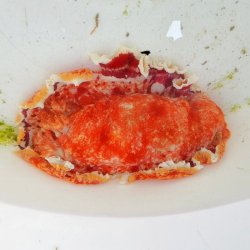 画像2: 《近海産甲殻類》☆★ミカドウミウシ…ハンドコート採取