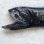 画像3: 《外洋性深海魚》ワニトカゲギス目の1種（画像の個体です）425…冷凍個体