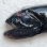 画像2: 《外洋性深海魚》ワニトカゲギス目の1種（画像の個体です）425…冷凍個体