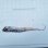 画像1: 《外洋性深海魚》☆★☆テンガイハタ (画像の個体です)【冷凍】505・・背鰭、胸鰭に損傷有り (1)