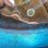 画像6: 《近海産海水魚》☆★【ドット激美】ユリウツボ（画像の個体です)…ハンドコート採取