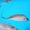 画像2: 《外洋性深海魚》☆★☆フリソデウオ 1匹(画像の個体です)【冷凍】506・・ (2)