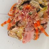 《近海産甲殻類》ソメンヤドカリ(Sサイズ)1匹・・フリー個体