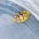 画像3: 《近海産海水魚》【レアサイズ】ノコギリハギの幼魚(画像の激カワ個体です)‥ハンドコート採取 (3)