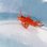 画像1: 《近海産海水魚》【ウルトラレアサイズ】ツノカサゴの稚魚（画像の個体です）…ハンドコート採取 (1)