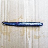 《外洋性深海魚》ワニトカゲギス目の1種（画像の個体です）約12センチ±…冷凍個体