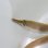 画像1: 《近海産海水魚》ダイナンウミヘビ(Sサイズ)…ハンドコート採取 (1)