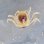 画像1: 《近海産甲殻類》カニ(種不明)のメガロパ幼生…当店ハンドコート採取 (1)