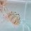 画像8: 《近海産海洋生物類》ハナガサクラゲ（1匹）…ハンドコート採取