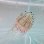 画像3: 《近海産海洋生物類》ハナガサクラゲ（1匹）…ハンドコート採取