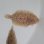 画像1: 《近海産海水魚》ムスメウシノシタ…ハンドコート採取 (1)