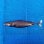 画像2: 《外洋性深海魚》【ウルトラレア】ツラナガコビトザメ(25センチ±)画像の個体です…冷凍個体 (2)