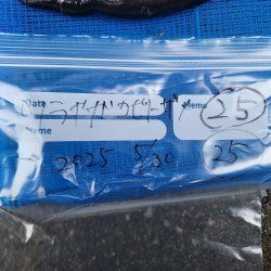画像3: 《外洋性深海魚》【ウルトラレア】ツラナガコビトザメ(25センチ±)画像の個体です…冷凍個体