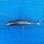画像1: 《外洋性深海魚》【ウルトラレア】ツラナガコビトザメ(16センチ±)画像の個体です…冷凍個体 (1)