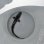 画像2: 《外洋性海水魚》ホシザメ（幼魚サイズ）30センチ±‥近海採取 (2)