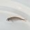 画像3: 《近海産海水魚》【激レア】ヒレコダイ幼魚…ハンドコート採取 (3)