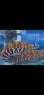 画像10: 《近海産海水魚》☆★龍魚トラウツボ（画像の個体です）小さいサイズ…白柄が強く出るタイプ！！