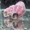 画像2: 《近海産海水魚》ニジギンポ（☆☆棲家のフジツボ付きでおすすめです！）・・小型水槽飼育できます！