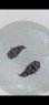 画像1: 《近海産海水魚》ハリセンボン(Sサイズ)1匹…ハンドコート採取 (1)