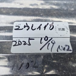 画像4: 《深海性甲殻類》冷凍ユウレイイカ(画像の個体です)‥撮影ケース（30〜20センチ）