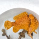 画像: 過去の入荷情報はここをクリック