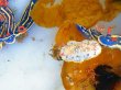 画像3: 《近海産甲殻類》サラサウミウシ…当店ハンドコート採取