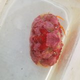 画像: 《近海産》コブカラッパ（歩足1欠）…ハンドコート