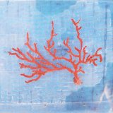 画像: 《近海産海洋生物》イソバナ…ハンドコート採取