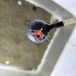 画像2: 《近海産甲殻類》【激レア】カイカムリのメガロパ幼生から変体中個体（画像の個体です）パウダー底砂付き…ハンドコート採取