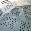 画像5: 《近海産海水魚》イトヒキアジ幼魚（1匹）…ハンドコート採取・・