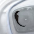 画像5: 《近海産海水魚》【東紀州産ワイルド個体】オオウミウマ（画像の雄個体です）…当店ハンドコート採取