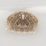 画像: 《近海産甲殻類》【珍サイズ】　メガネカラッパの幼体(画像の個体です)…当店ハンドコート採取
