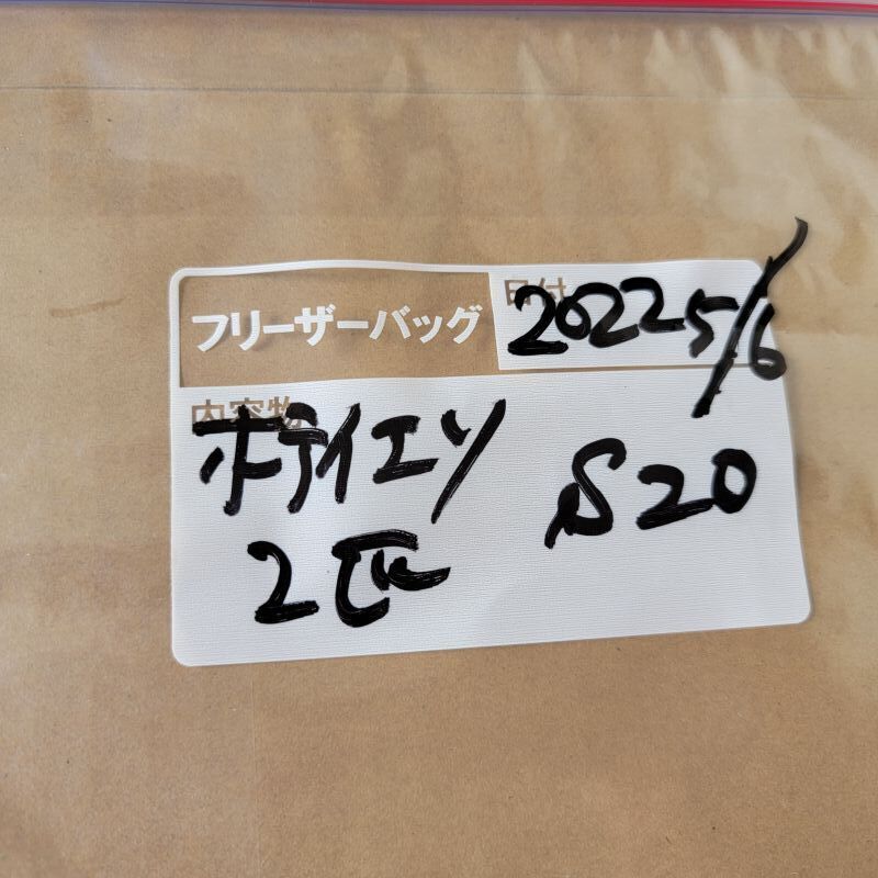 画像3: 《近海産深海魚》ホテイエソ（3匹セット)20〜25センチ前後…冷凍個体