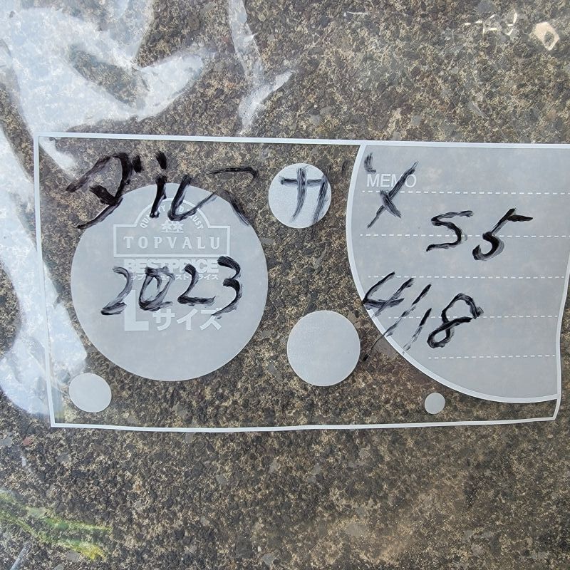 画像5: 《外洋性深海魚》冷凍ダルマザメ（40センチ前後）…画像の個体です